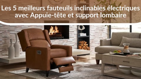 Top 5 fauteuils inclinables électriques avec Appuie-tête et support lombaire