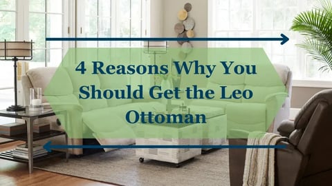 Why You Should Order the Leo Ottoman