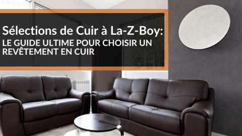 Sélections de Cuir à La-Z-Boy: LE GUIDE ULTIME POUR CHOISIR UN REVÊTEMENT EN CUIR