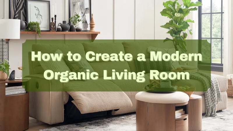 How to Create a Modern Organic Living Room: Tips by an Expert