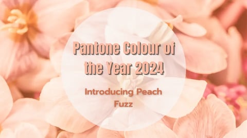 Pantone Colour of the Year 2024